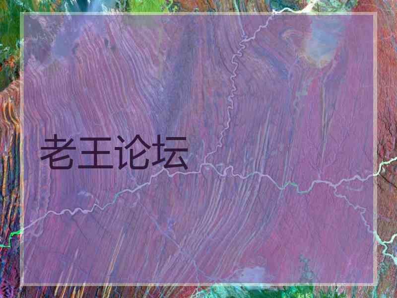 老王论坛