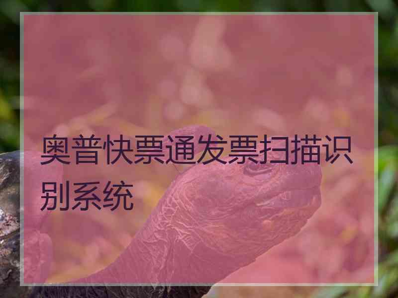 奥普快票通发票扫描识别系统