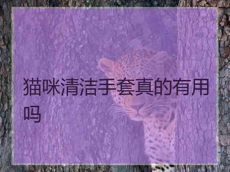 猫咪清洁手套真的有用吗