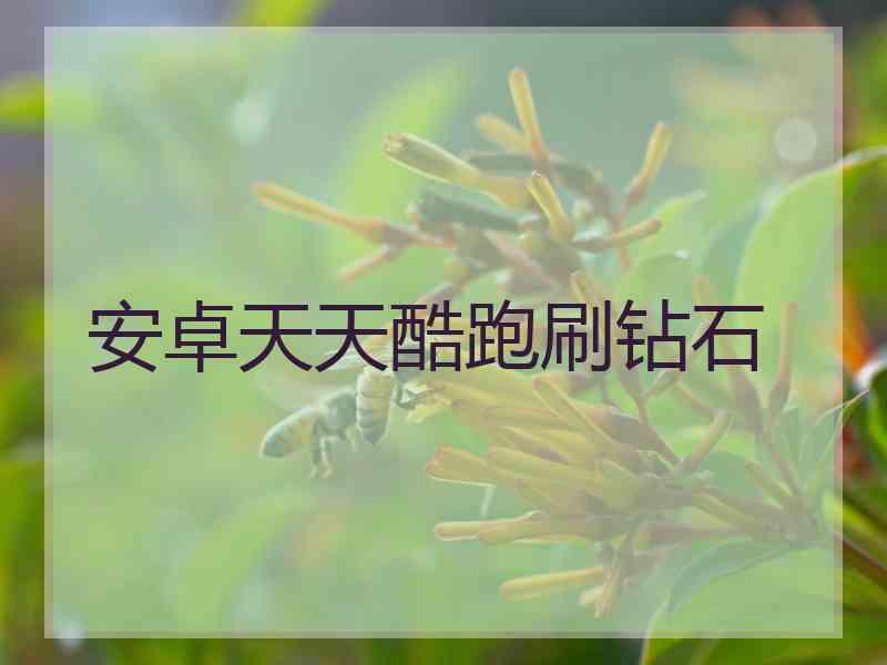 安卓天天酷跑刷钻石