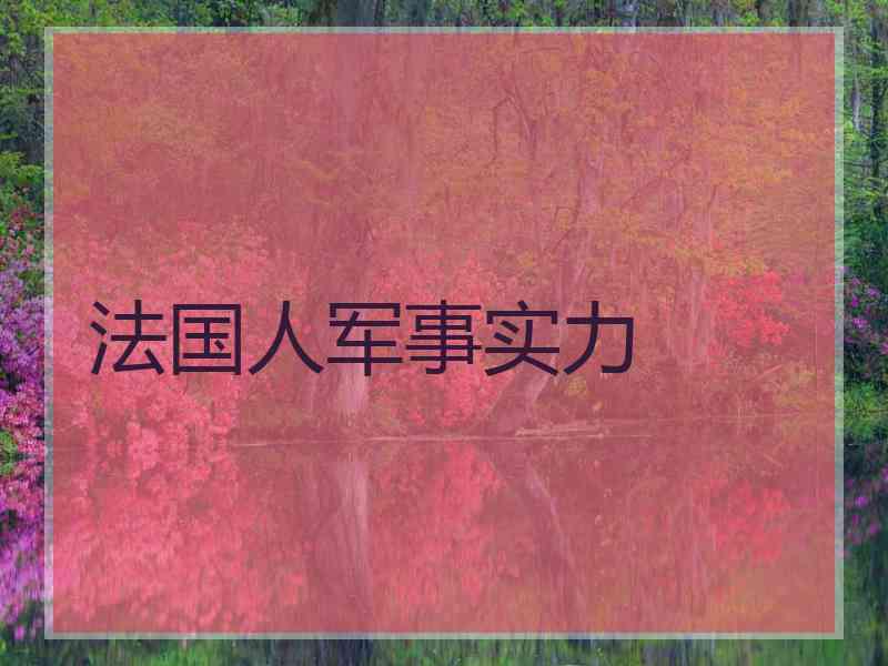 法国人军事实力