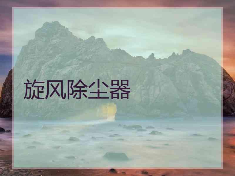 旋风除尘器