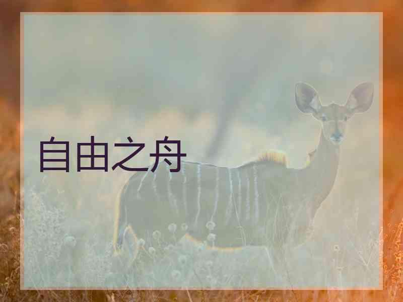 自由之舟