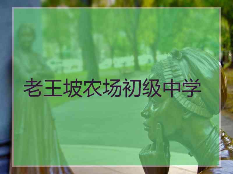 老王坡农场初级中学