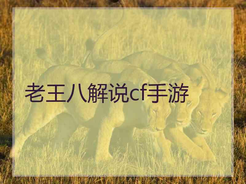 老王八解说cf手游