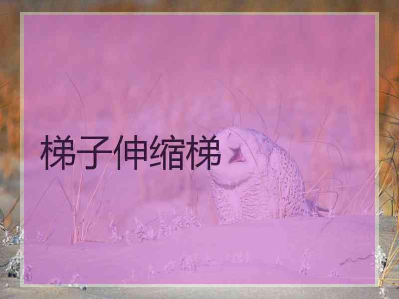 梯子伸缩梯