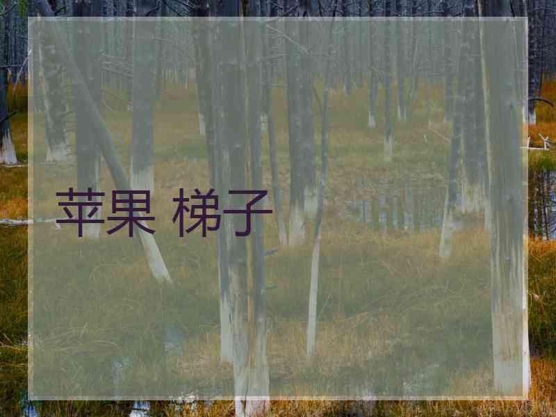 苹果 梯子