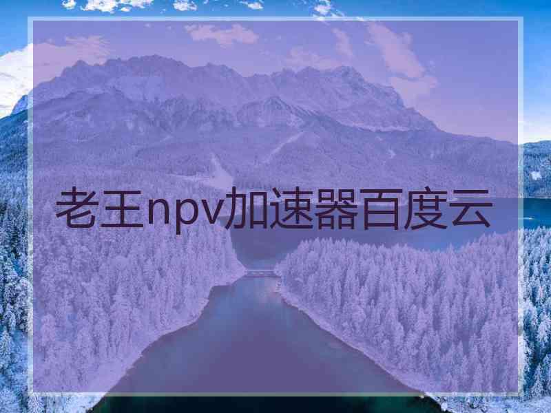 老王npv加速器百度云
