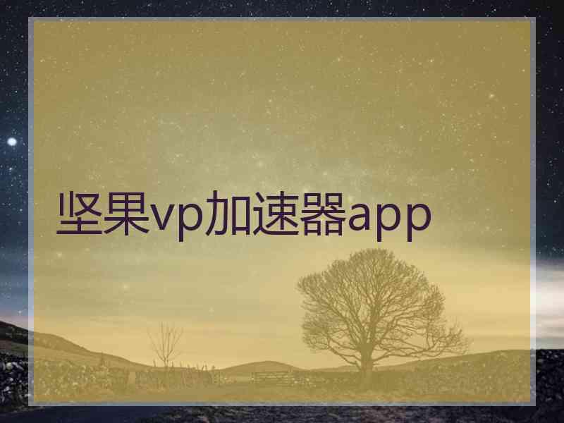 坚果vp加速器app