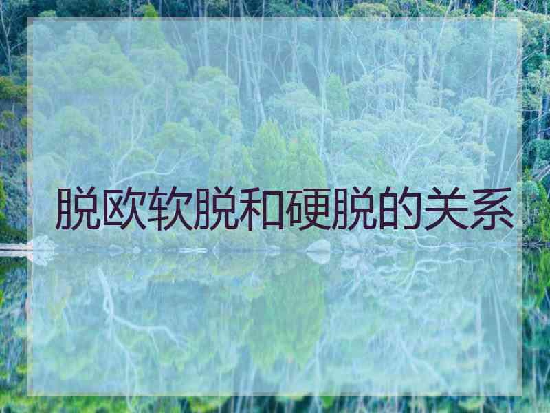 脱欧软脱和硬脱的关系