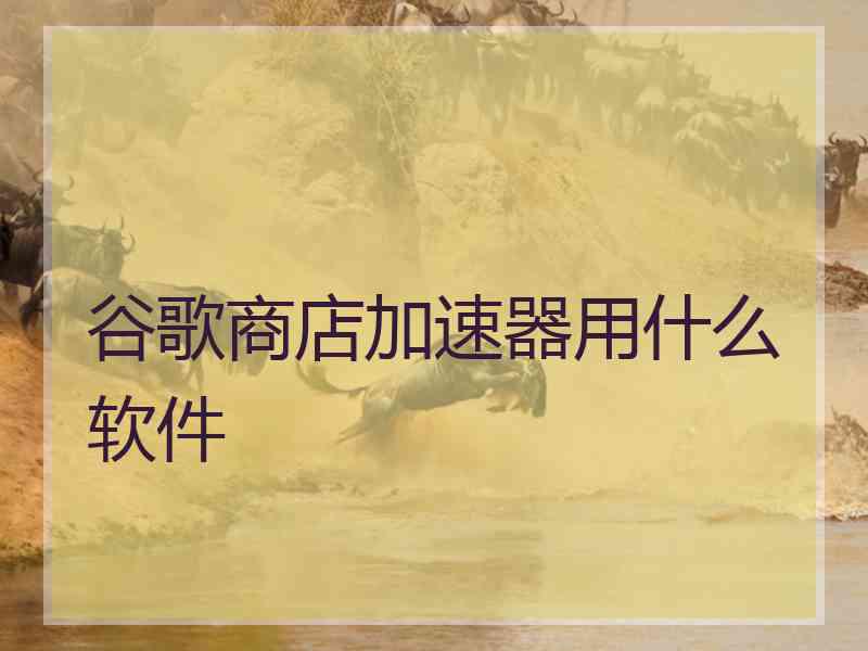 谷歌商店加速器用什么软件