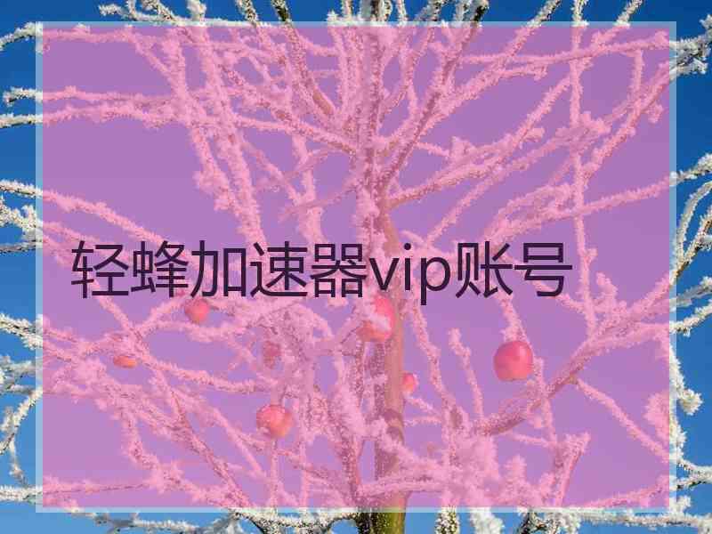 轻蜂加速器vip账号