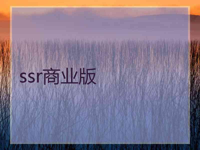 ssr商业版
