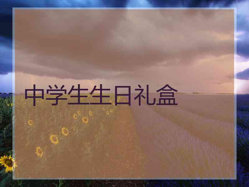 中学生生日礼盒