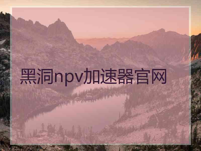 黑洞npv加速器官网