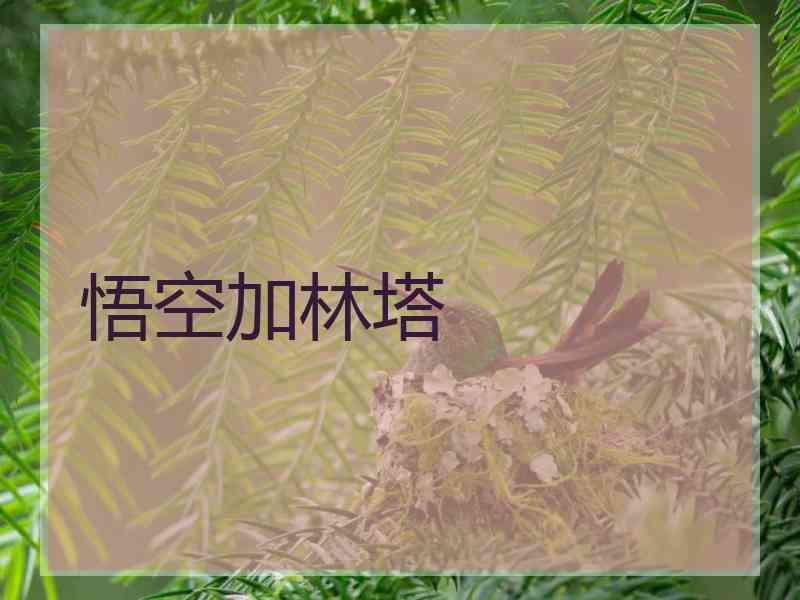 悟空加林塔