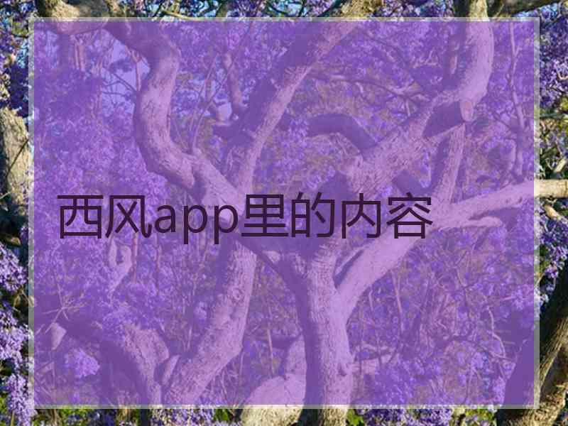 西风app里的内容