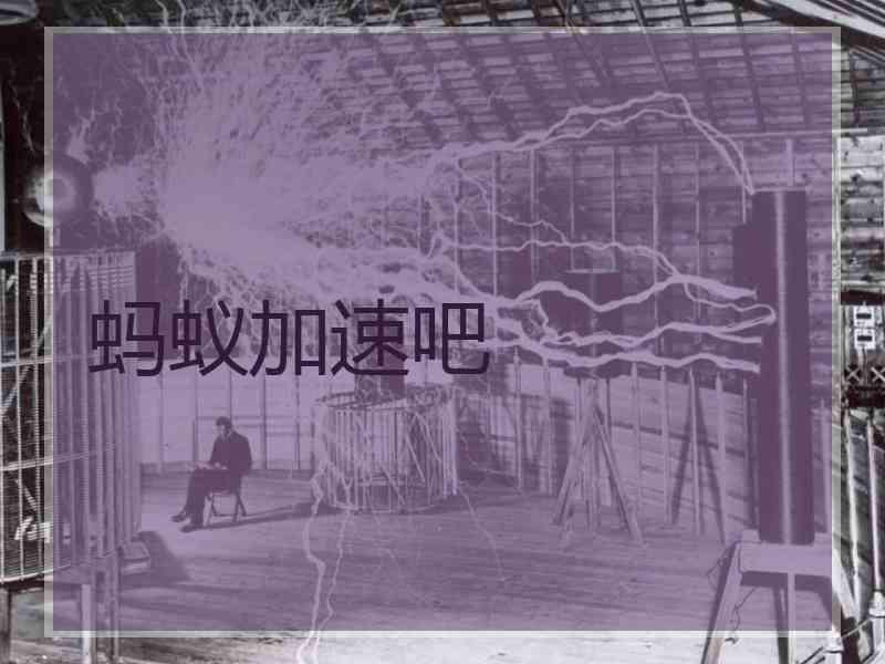蚂蚁加速吧