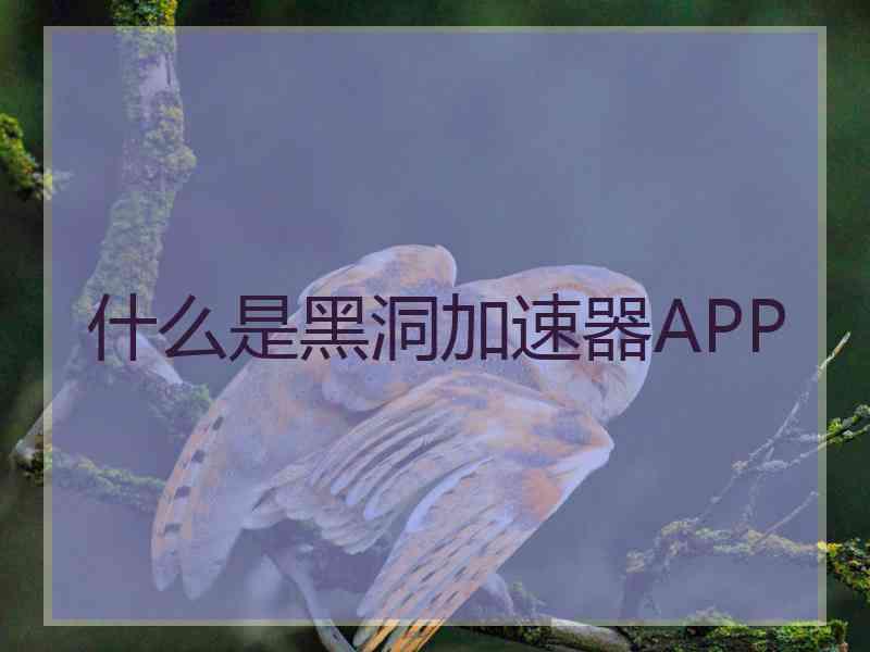什么是黑洞加速器APP