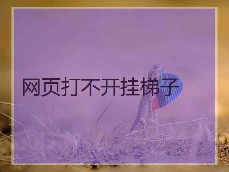 网页打不开挂梯子