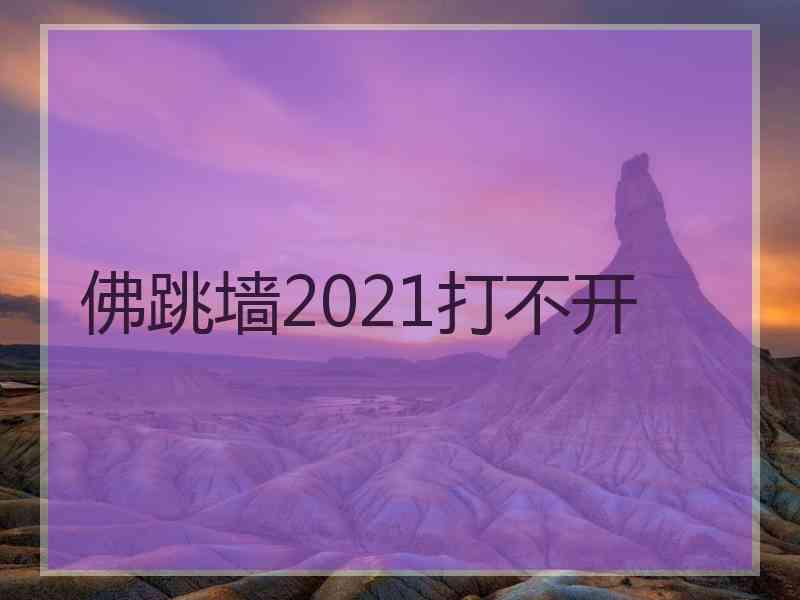 佛跳墙2021打不开