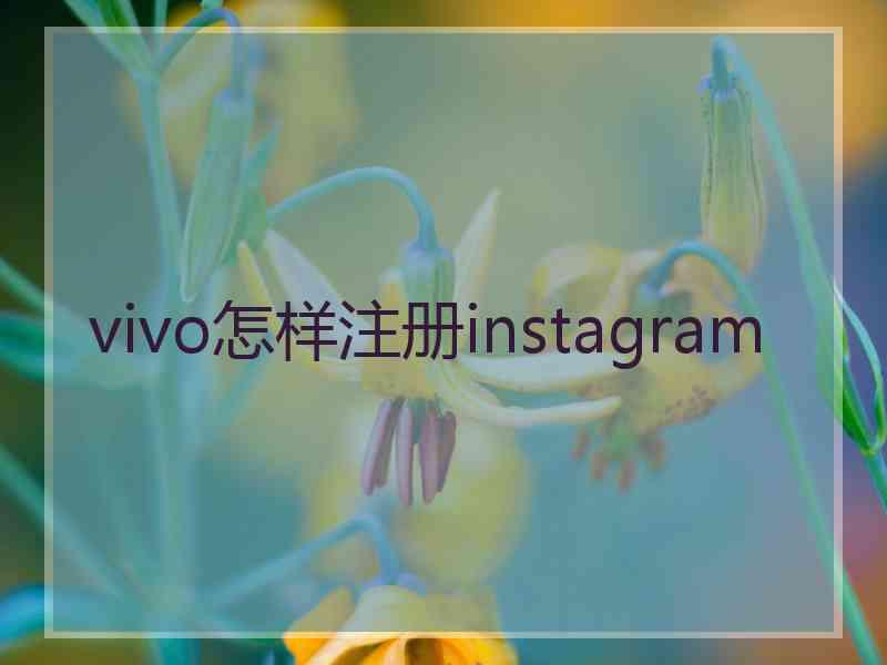 vivo怎样注册instagram