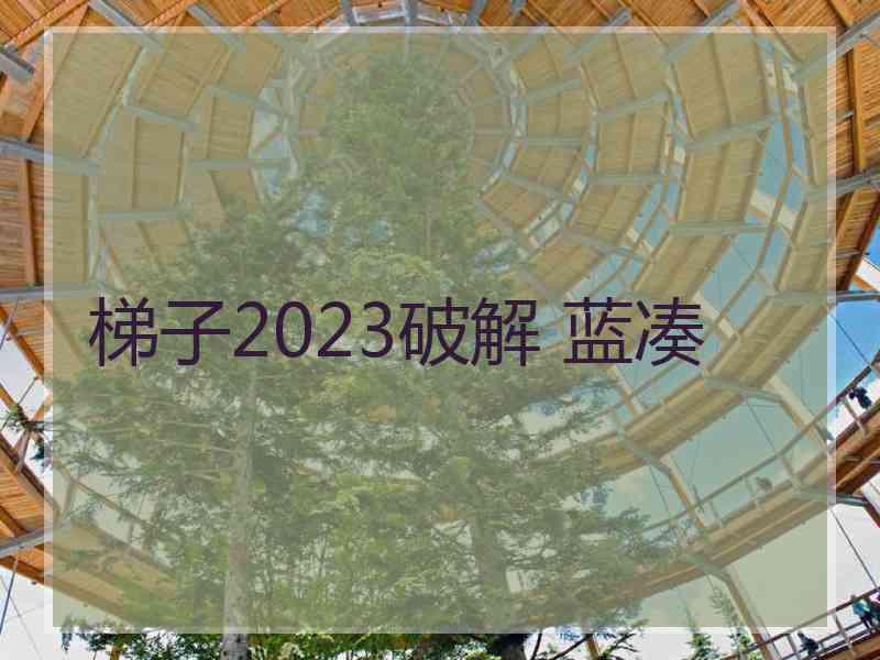 梯子2023破解 蓝凑