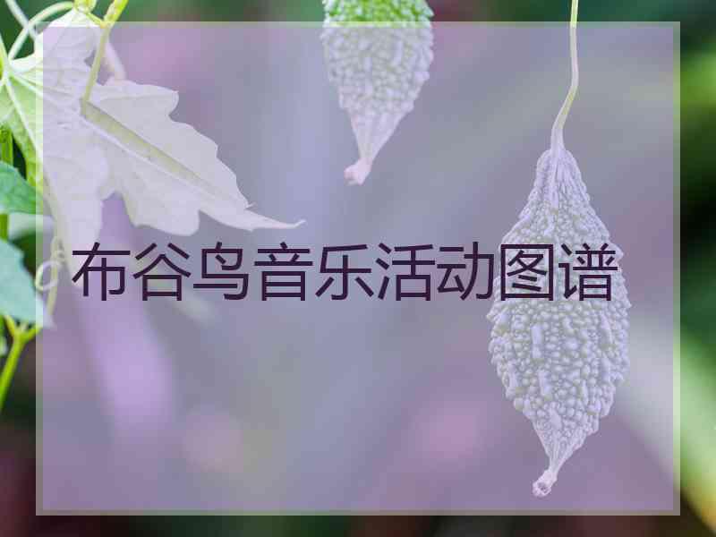 布谷鸟音乐活动图谱