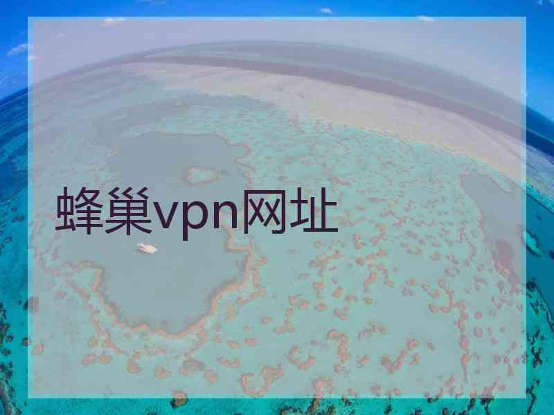 蜂巢vpn网址
