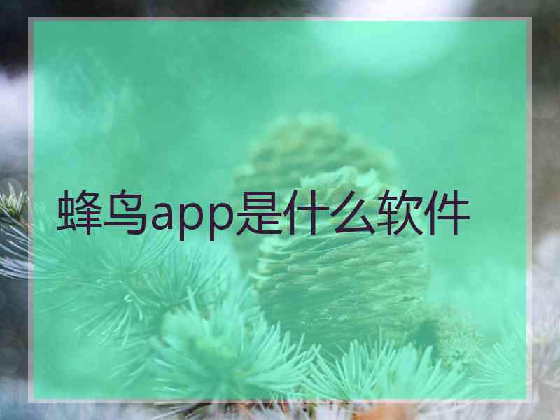 蜂鸟app是什么软件
