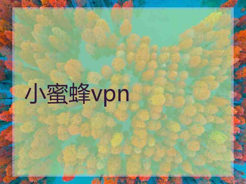 小蜜蜂vpn