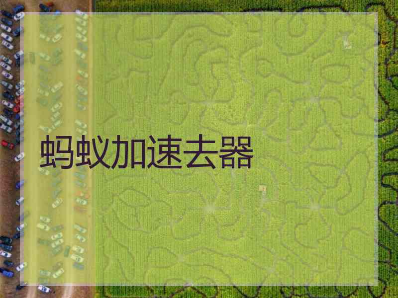 蚂蚁加速去器