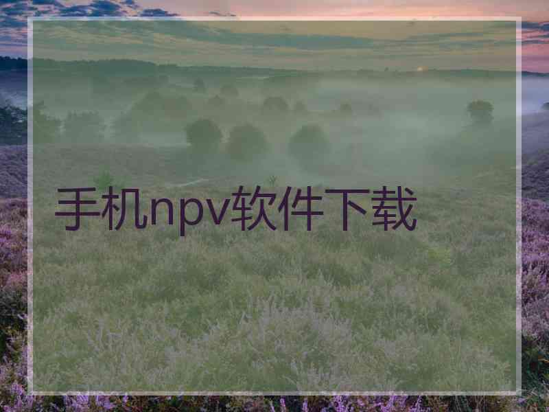 手机npv软件下载