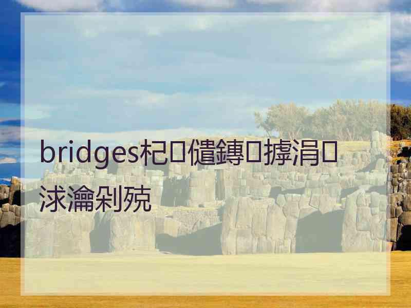 bridges杞儙鏄摢涓浗瀹剁殑