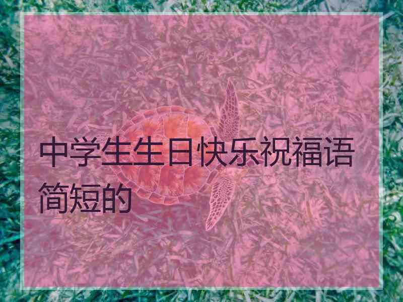 中学生生日快乐祝福语简短的