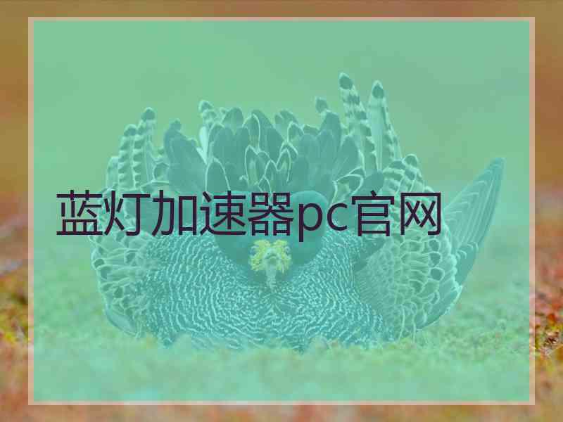 蓝灯加速器pc官网