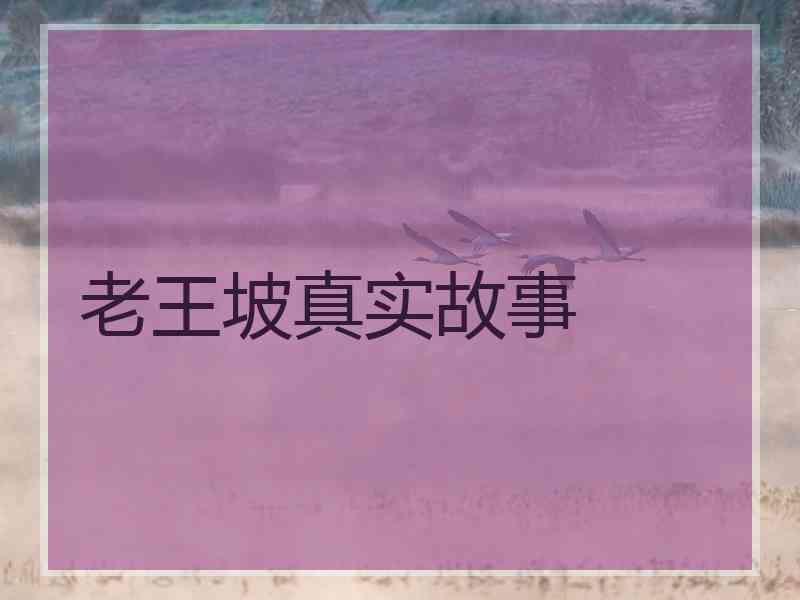 老王坡真实故事