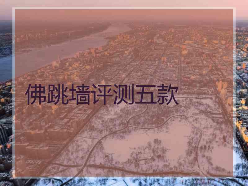 佛跳墙评测五款
