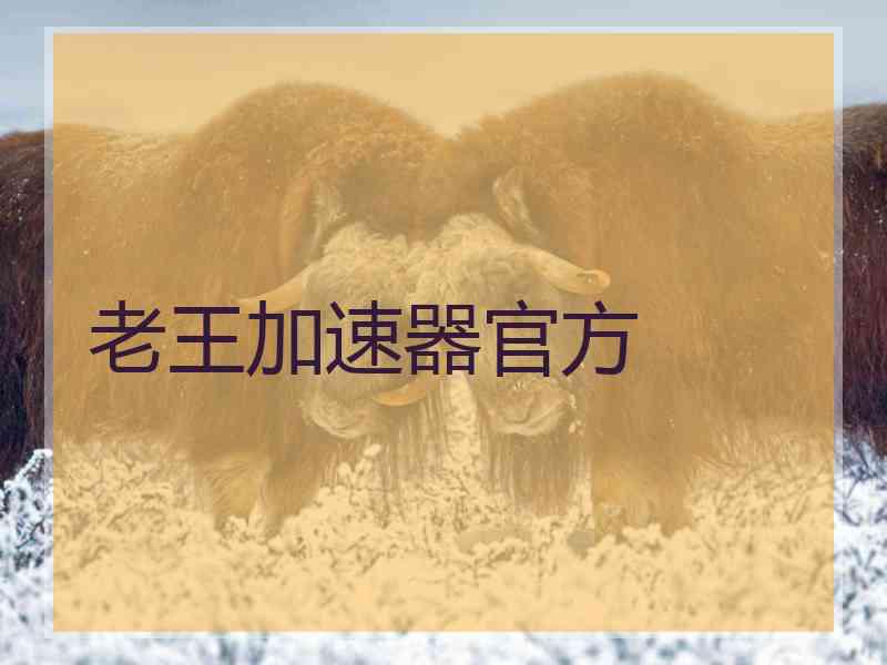 老王加速器官方