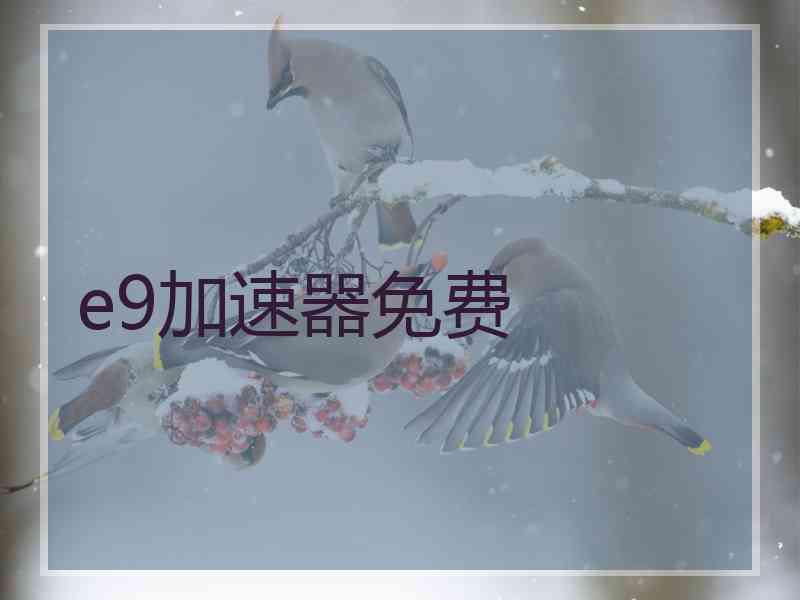 e9加速器免费