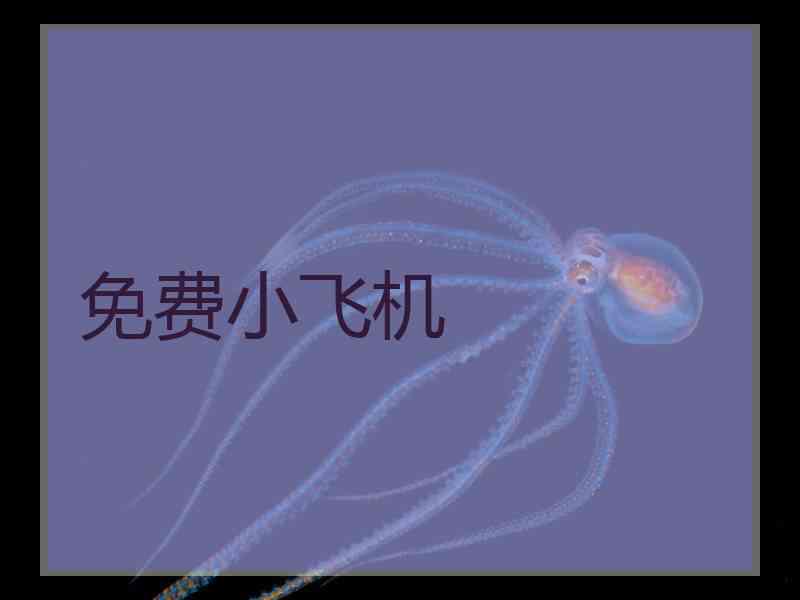 免费小飞机