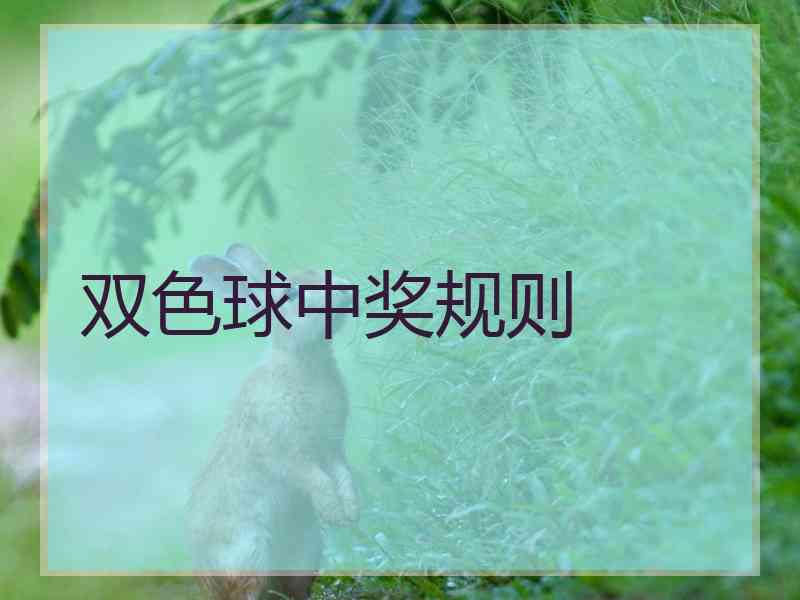 双色球中奖规则