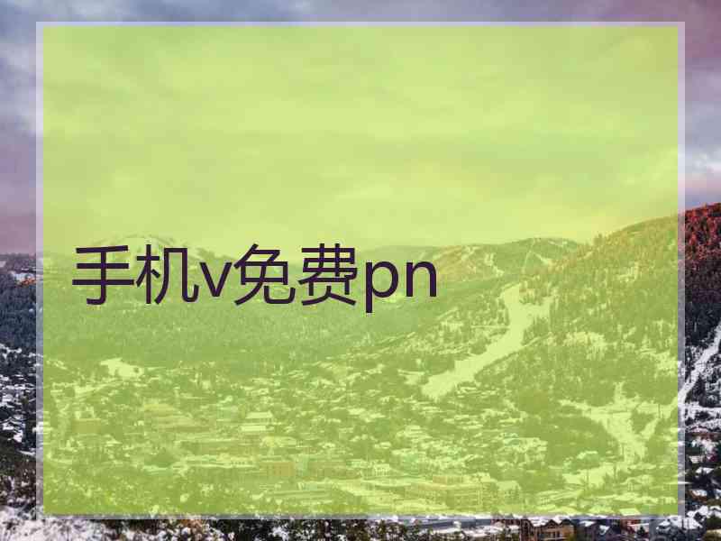 手机v免费pn