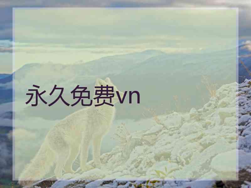 永久免费vn