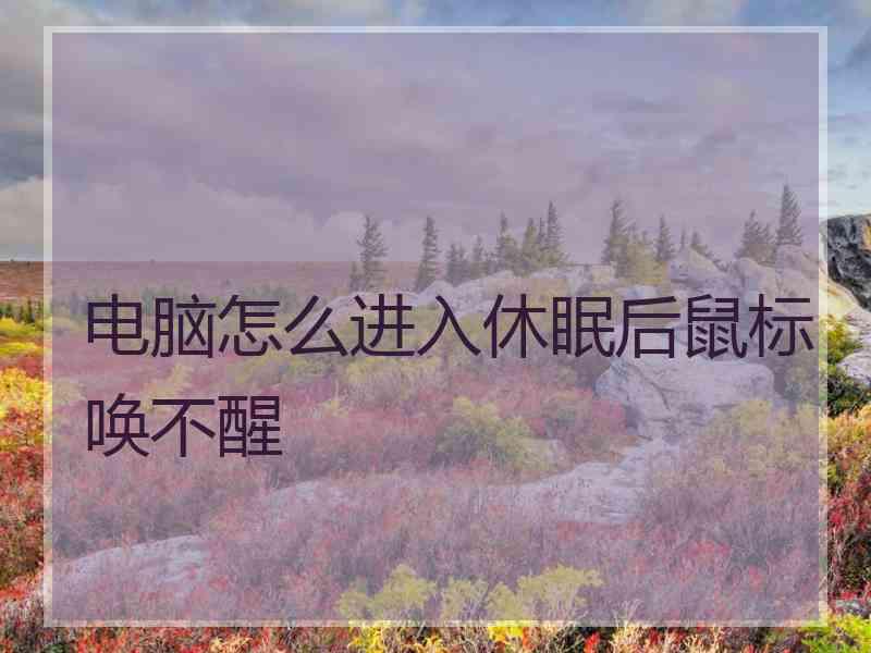 电脑怎么进入休眠后鼠标唤不醒