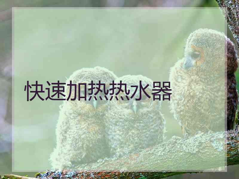 快速加热热水器