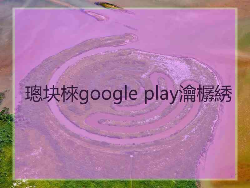 璁块棶google play瀹樼綉