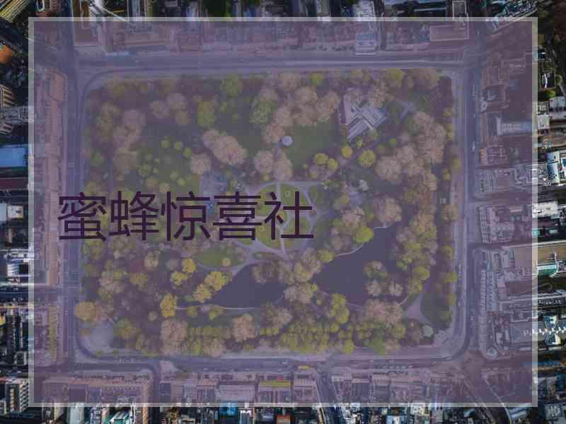 蜜蜂惊喜社