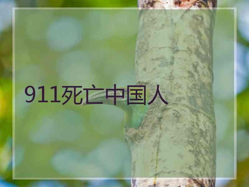 911死亡中国人