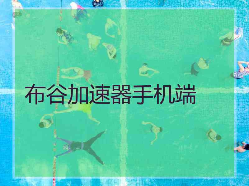 布谷加速器手机端